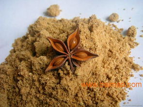 頂能食品 優(yōu)質(zhì)八角粉調(diào)味香辛料的生產(chǎn)與價格解析